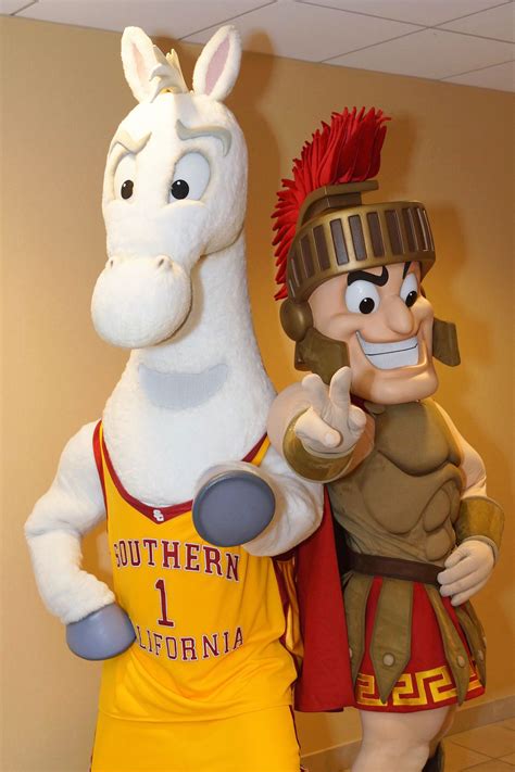 The Cultural and Historical Significance of the USC Arabian Mascot